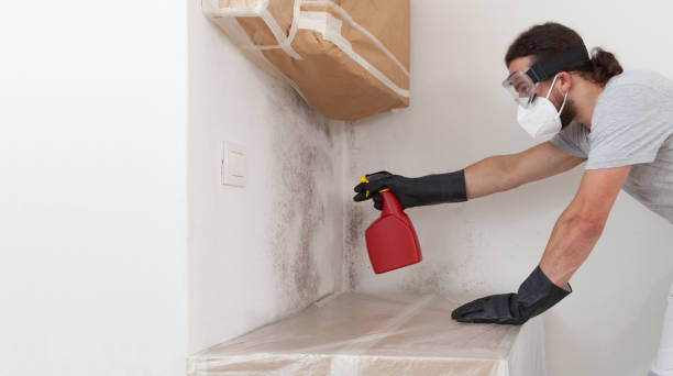 Professional Attic Mold Removal technician working in Julian, PA