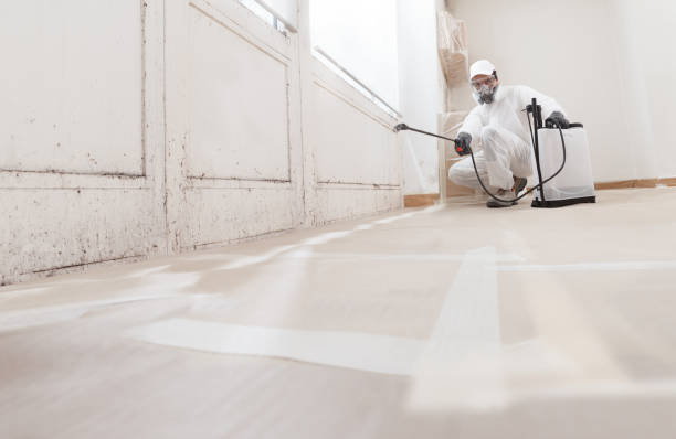 24/7 Emergency Attic Mold Removal experts in Julian, PA