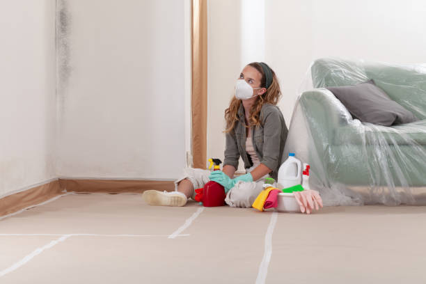 Reliable Attic Mold Removal contractor in Julian, PA by WQB Mold Removal