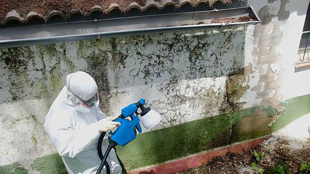 Top rated local Attic Mold Removal specialists in Julian, PA